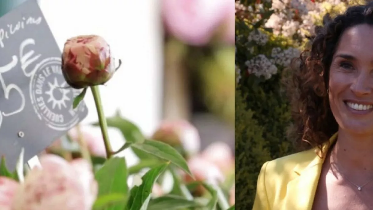 IN SITU - La guerre des fleurs | FranceTvPro.fr